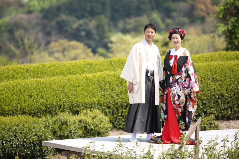 全景の茶の間（日本平から望む富士山と茶畑）　【通年】（通常プラン）