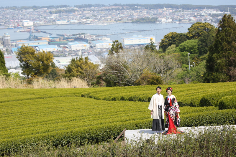 全景の茶の間（日本平から望む富士山と茶畑）　【通年】（通常プラン）