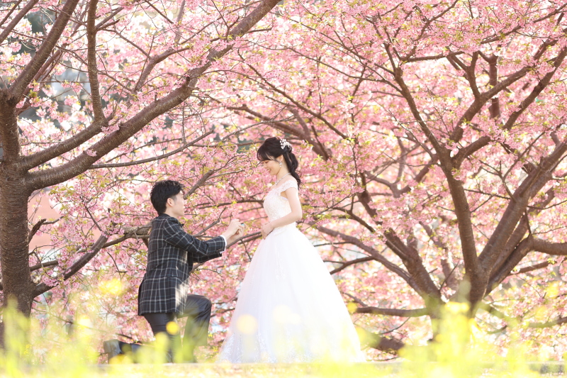 【早割】和装or洋装ロケーション撮影 30,000円OFF 12月末までにお申し込みの方限定割引