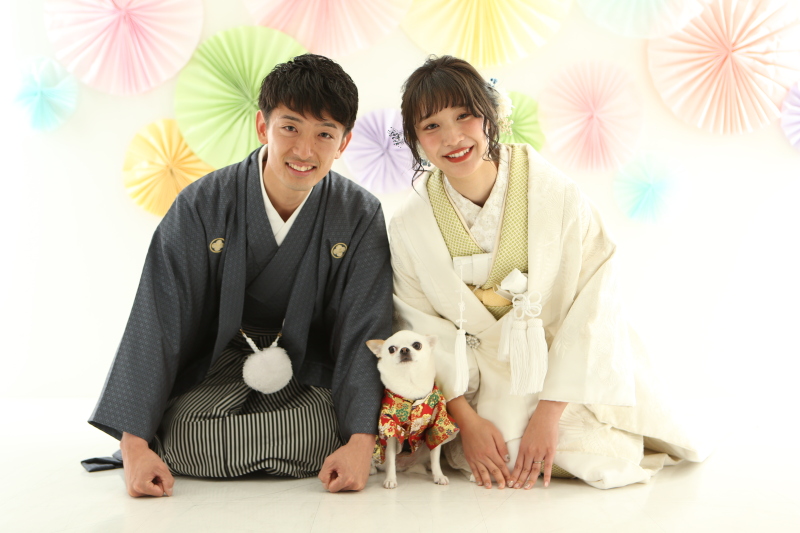 和装と洋装の両方でスタジオ撮影　「150カットデータ＆アルバム付き」　【通年】（通常プラン）