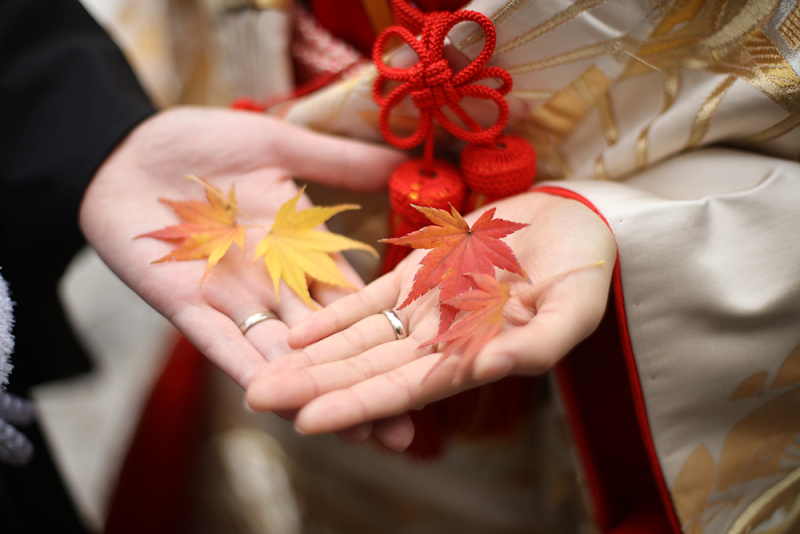 【紅葉ロケーション撮影】通常148,500円→平日25％OFF110,000円　※土日祝日撮影の場合は10％OFF