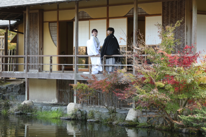 コスモス畑・玉露の里（庭園とお茶室での撮影）【通年】　※コスモス畑は10月〜11月頃