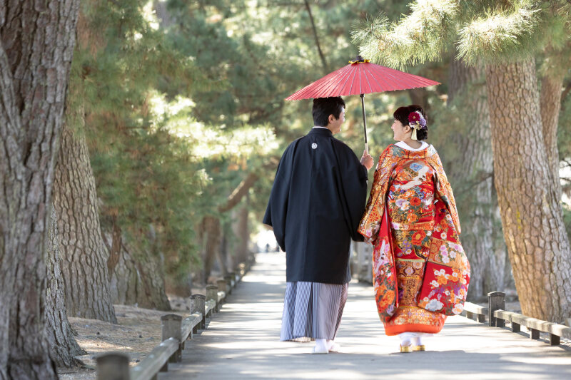 世界遺産・三保と海から望む富士山と撮影ができるロケ【通年】（通常プラン）