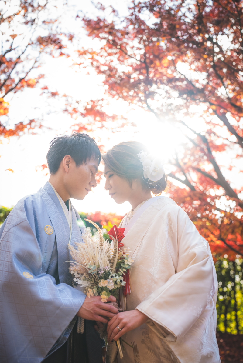 紅葉と光