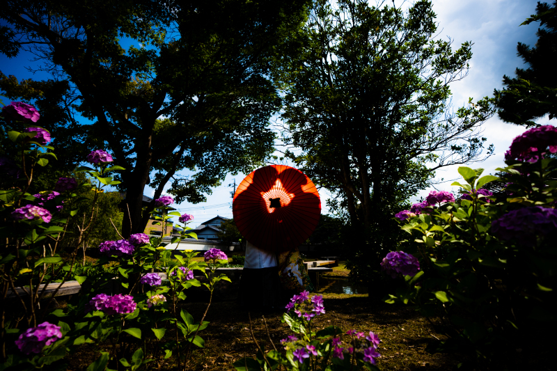 希望の写真にアレンジ