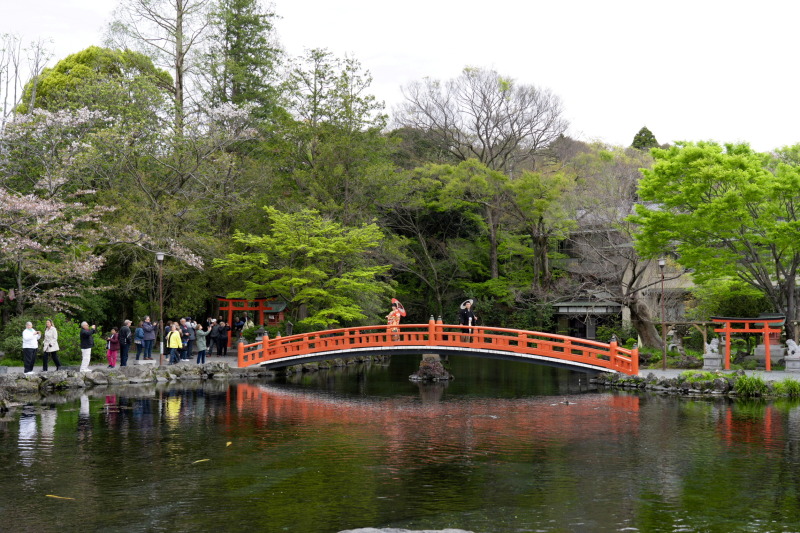 大きな池での撮影