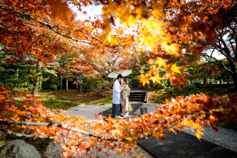 12月に撮影した紅葉