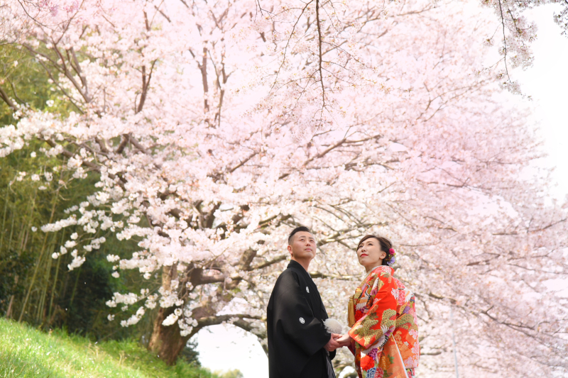 ロケーション撮影の場所到着【桜】