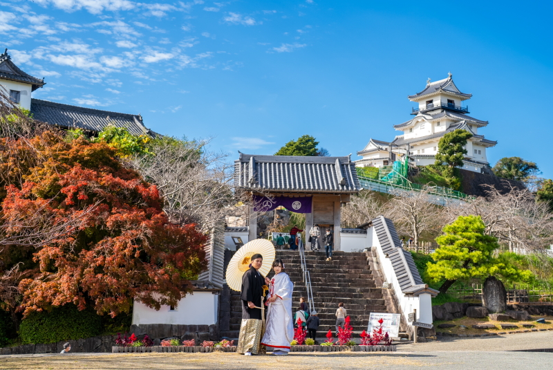 紅葉と城