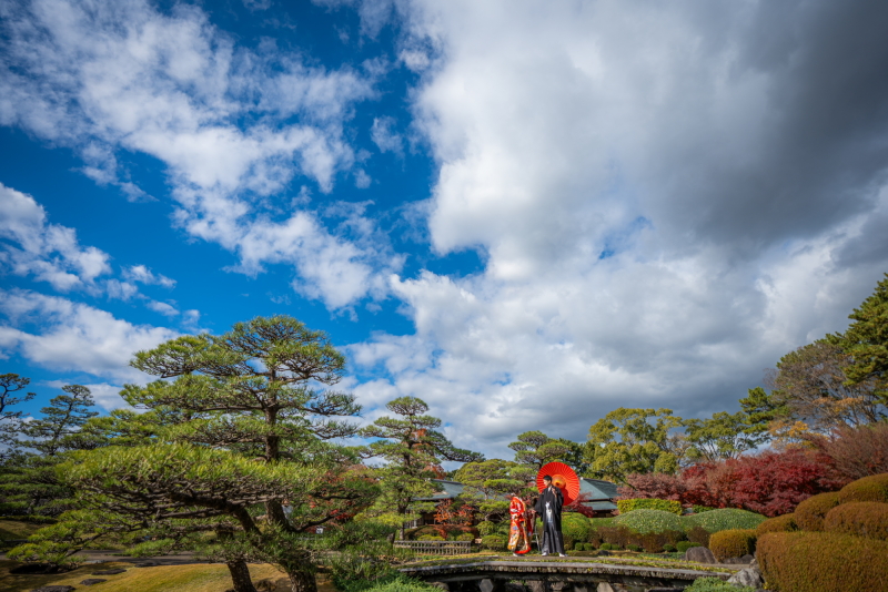 庭園と空