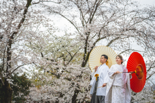 富士宮浅間大社+坐漁荘