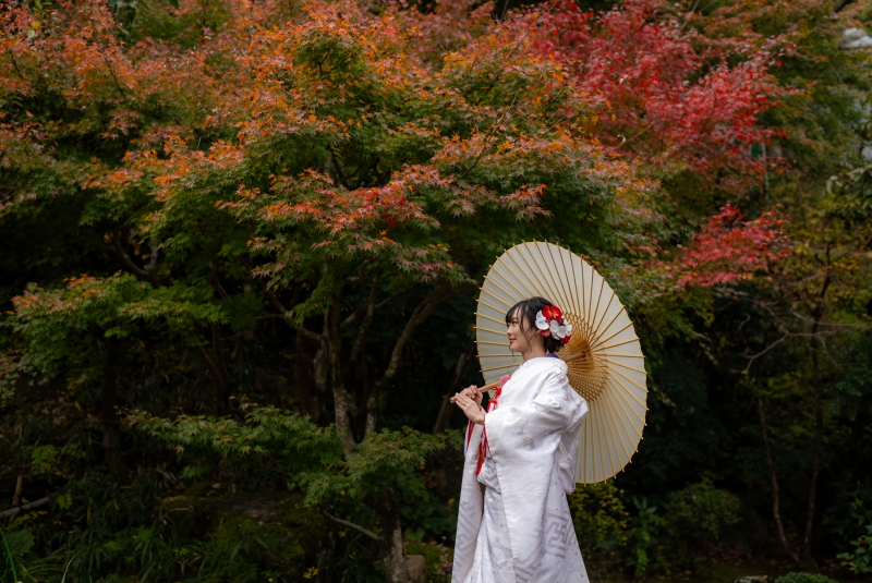 今の紅葉
