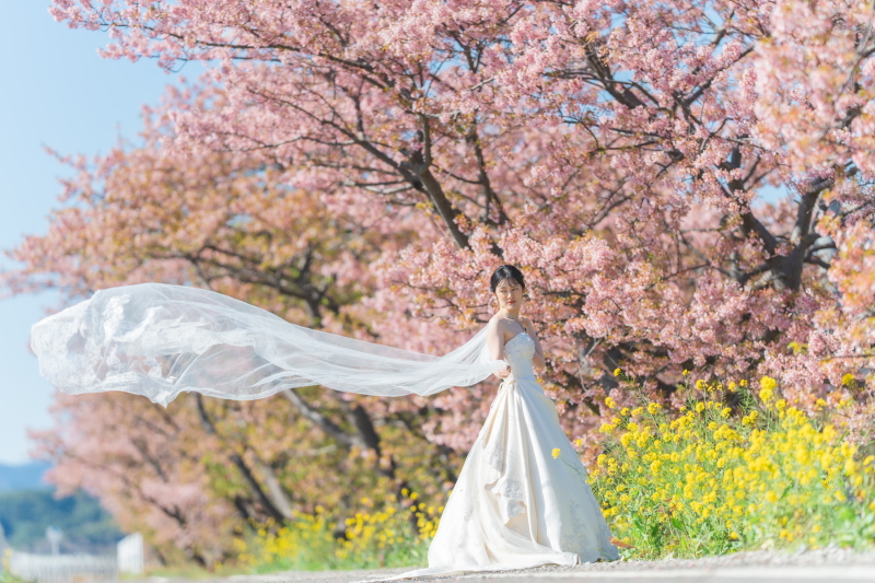 菜の花も一緒に撮影