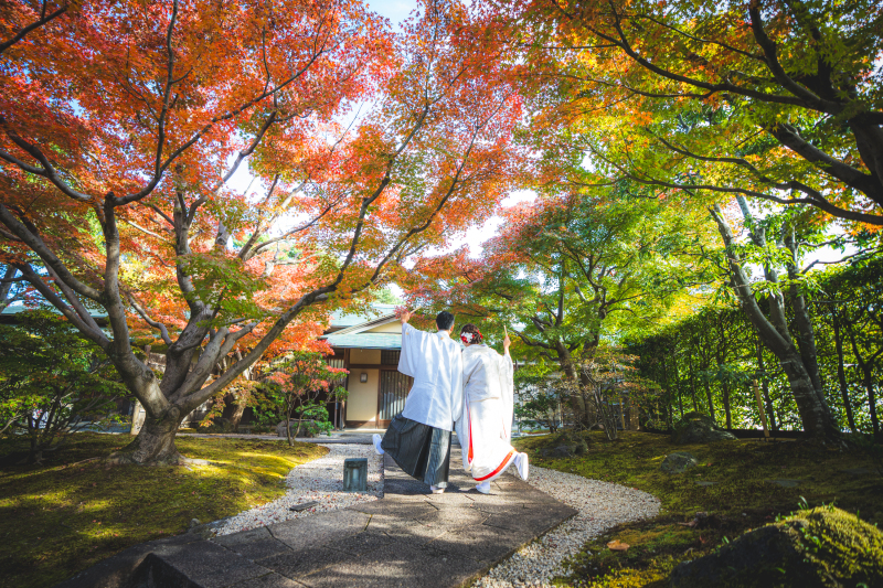 お茶室別館の庭園01
