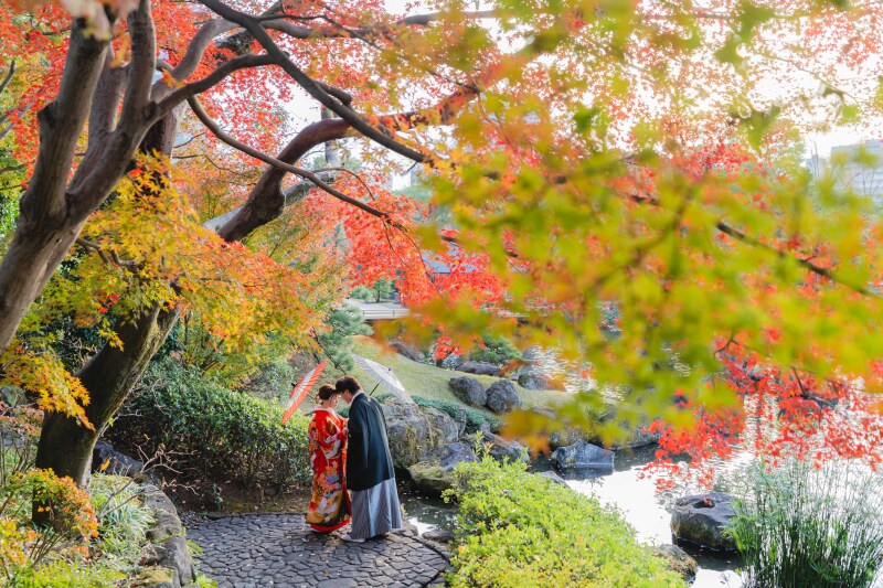 日本庭園・紅葉
