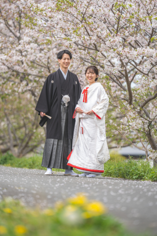 田中城+桜
