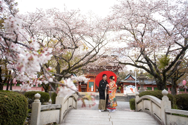 和は桜と神社が良く合います!