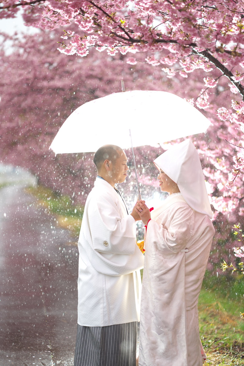 雨でも撮影しました!