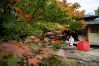 今年の紅葉2023.11