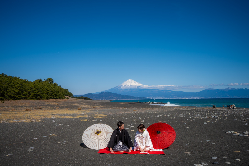 富士山と海と松。
