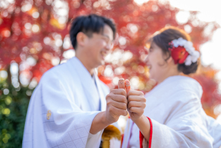 最新紅葉レポート　11月下旬