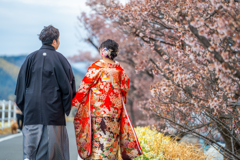 桜＋田中城跡地