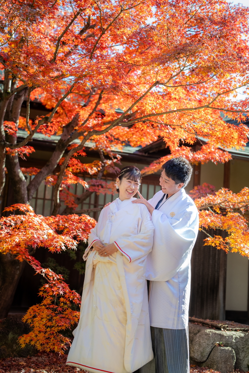 完全に紅葉