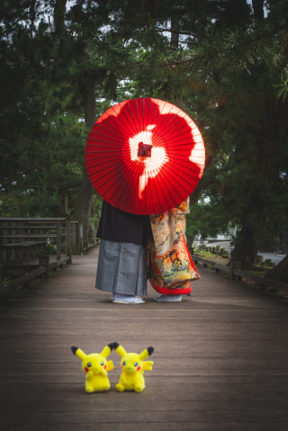 2024.6.6　三保の松原