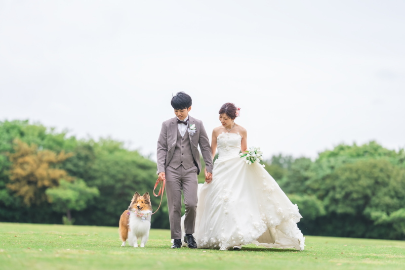 ペットと一緒に自然と触れ合う撮影