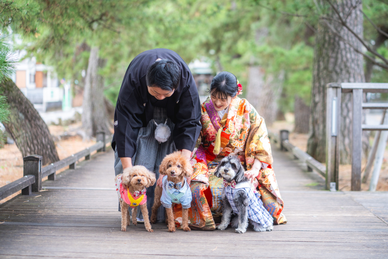 ペットで和装ロケーションと一緒に