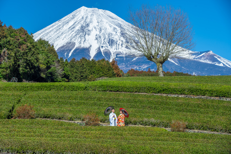 マリエフルーリィ_世界遺産で撮影できる