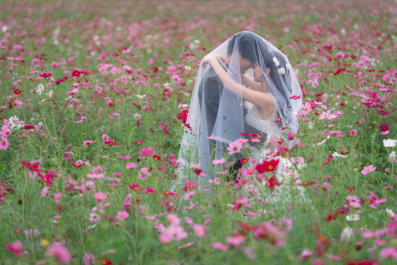 Point1 多彩な撮影シーン