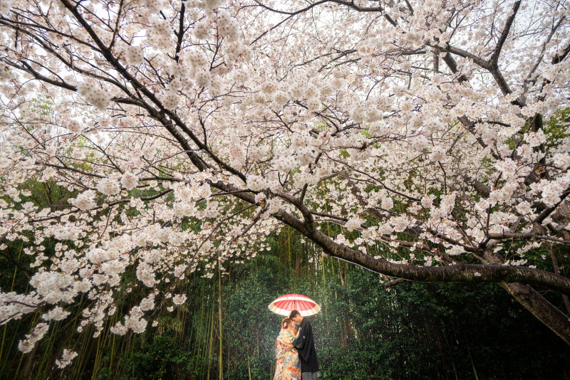 Point1 多彩な撮影シーン