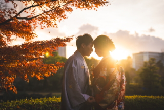 柔らかい光が素敵です