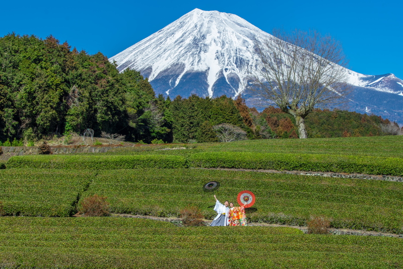 10月~12月【SHIZUOKA富士山と茶畑の豪華コース】和装か洋装 ロケーション撮影 貸し切りが出来るお茶畑と富士山の撮影