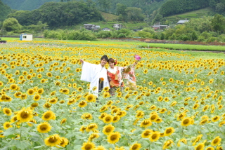 【期間限定7月～10月】ひまわりロケの和装か洋装ロケーション撮影プラン多ポーズ全カット500カット以上！