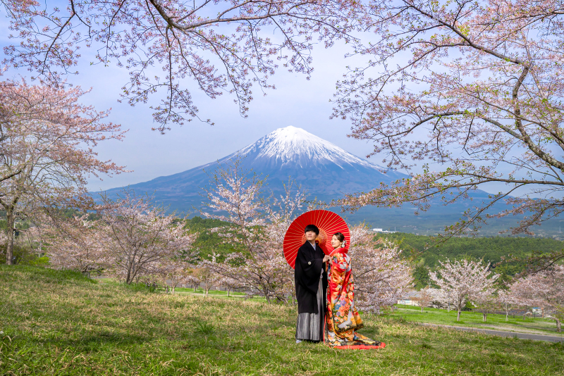 【桜ロケ】【迷(まよ)コレ!】桜: 3月下旬4月上旬限定 富士山と桜 和装ロケーションプラン!
