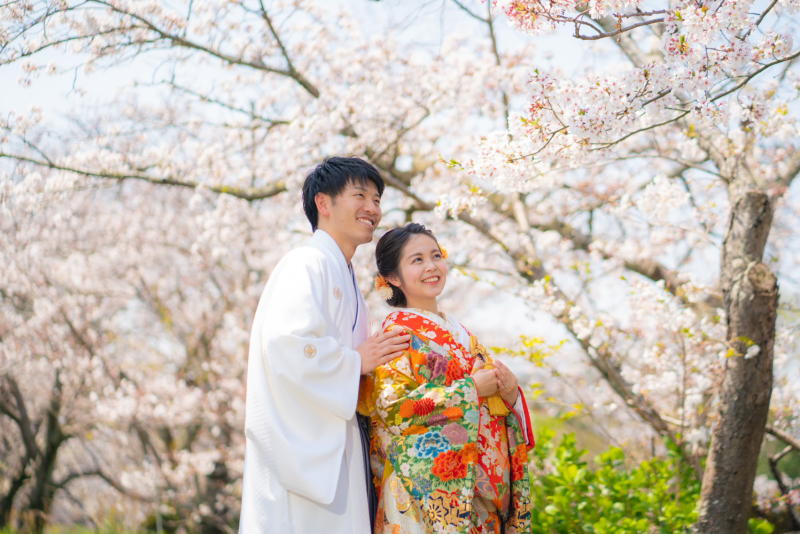 【2026桜ロケ 桜 和装or洋装 選べます ロケ地を追加しても14万円以下 桜ロケーションプラン!