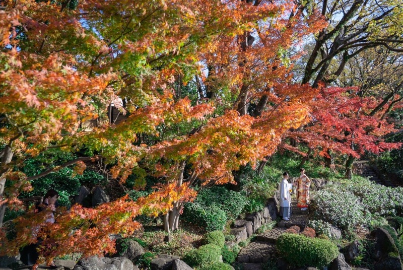 【紅葉】平日の場合【¥178200→¥156200】11月下旬・12月 衣裳1点とロケ地2ヶ所【日本庭園とお茶室のセット】