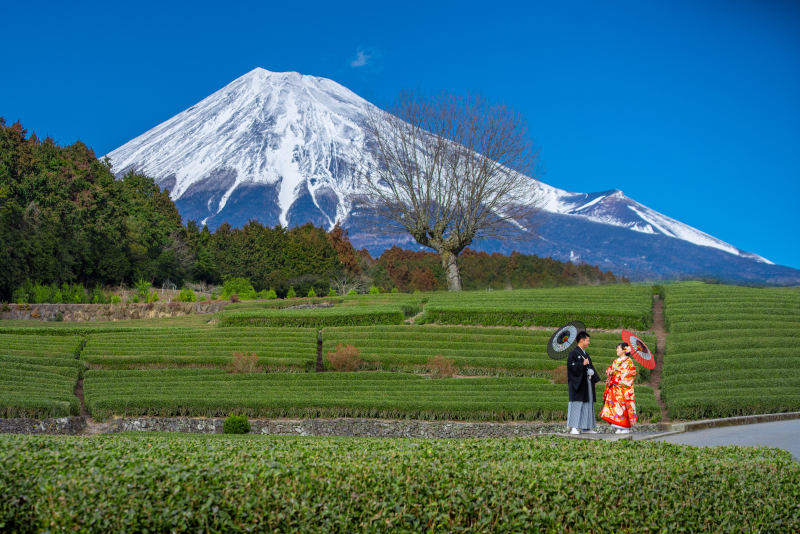 10月~12月【SHIZUOKA 茶畑富士山+浅間大社2ヶ所】和装ロケーション撮影
