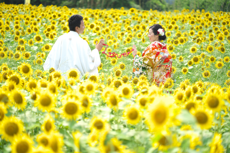 【期間限定7月~10月】ひまわりロケの和装か洋装ロケーション撮影プラン多ポーズ全カット500カット以上!