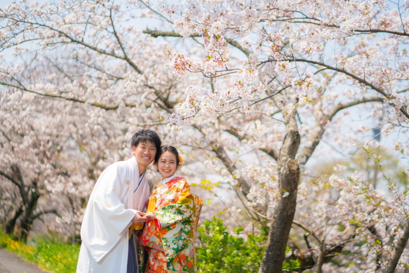 【2026桜ロケ 桜 和装or洋装 選べます ロケ地を追加しても14万円以下 桜ロケーションプラン!