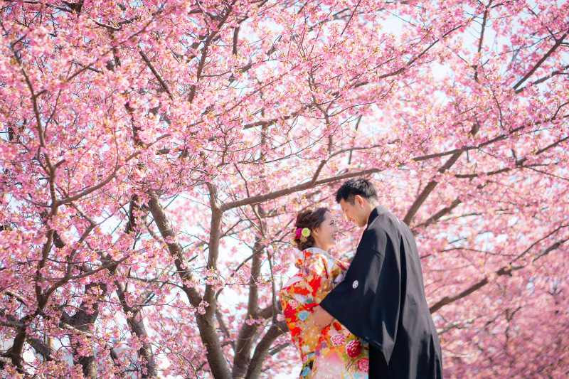 【 桜ロケ 和装と洋装 両方が出来る! 】 2つプラン 桜