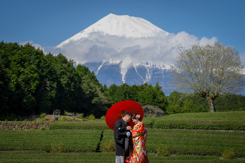 10月~12月【SHIZUOKA 茶畑富士山+浅間大社2ヶ所】和装ロケーション撮影