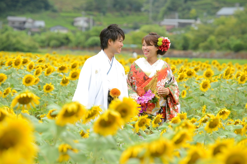【期間限定7月~10月】ひまわりロケの和装か洋装ロケーション撮影プラン多ポーズ全カット500カット以上!