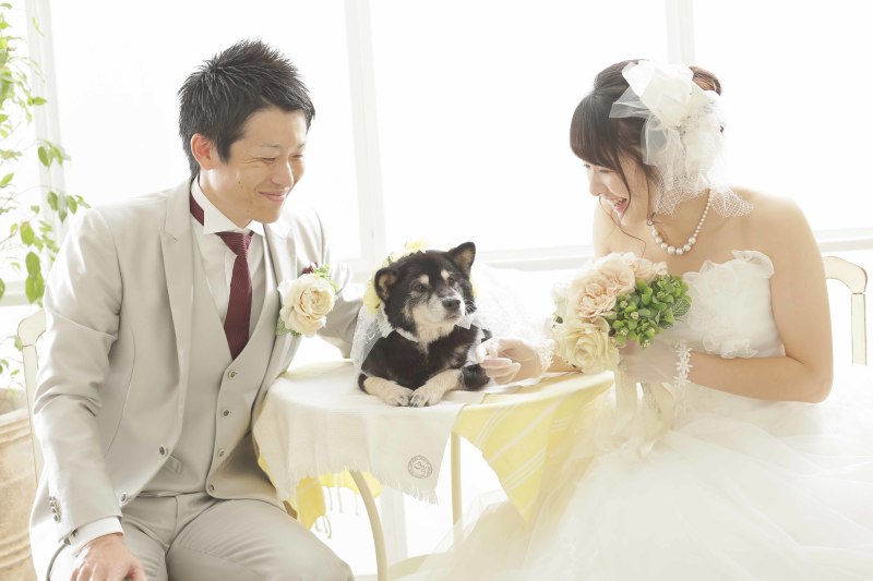 新宿フォトスタジオ限定!ペットプラン