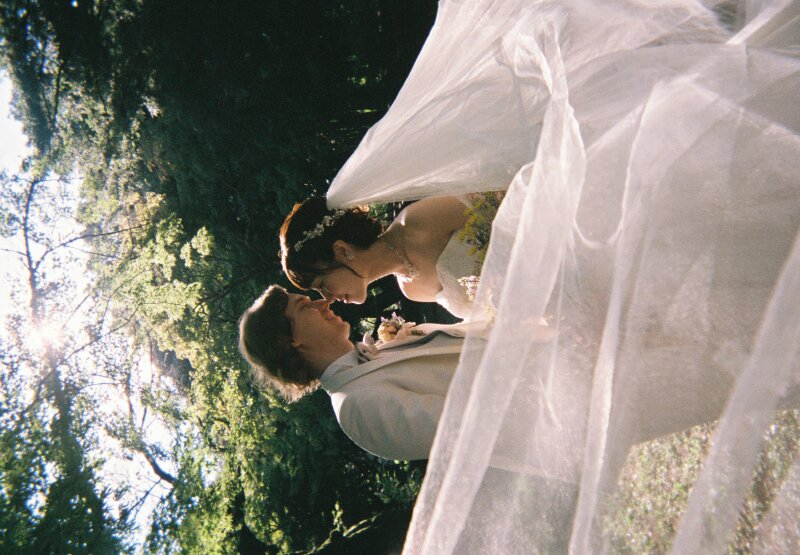 躍動感あふれるベールショット