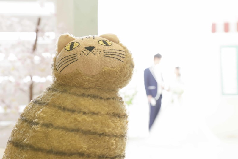 Kimono＆Dress　style 