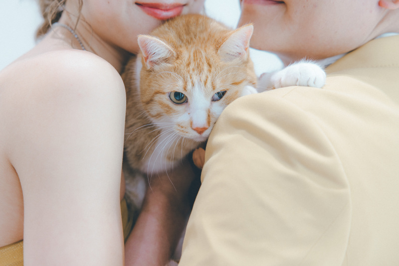 お次はネコちゃんも♪