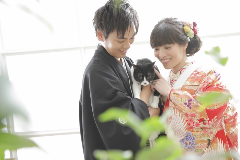 ねこちゃんと一緒に